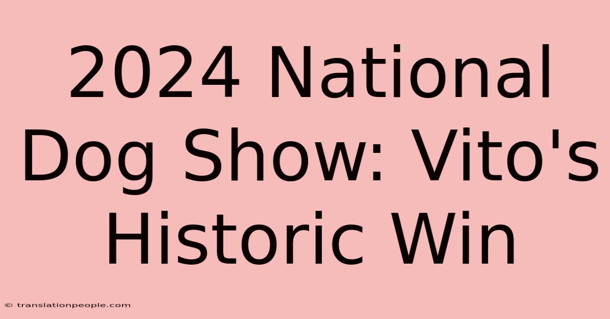 2024 National Dog Show: Vito's Historic Win