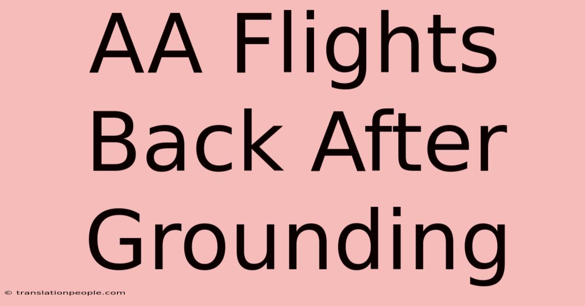 AA Flights Back After Grounding