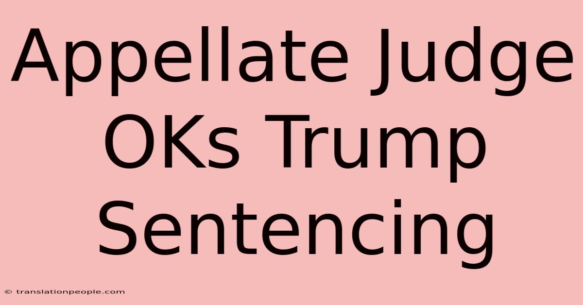 Appellate Judge OKs Trump Sentencing