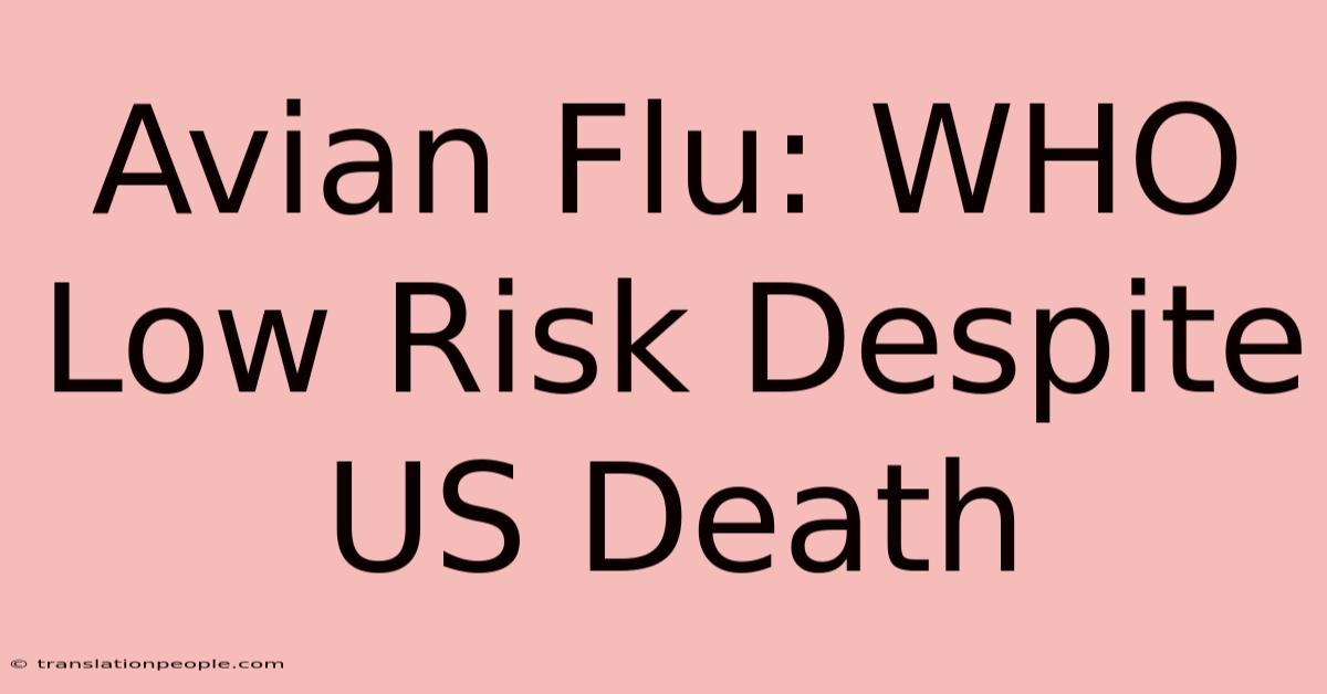 Avian Flu: WHO Low Risk Despite US Death