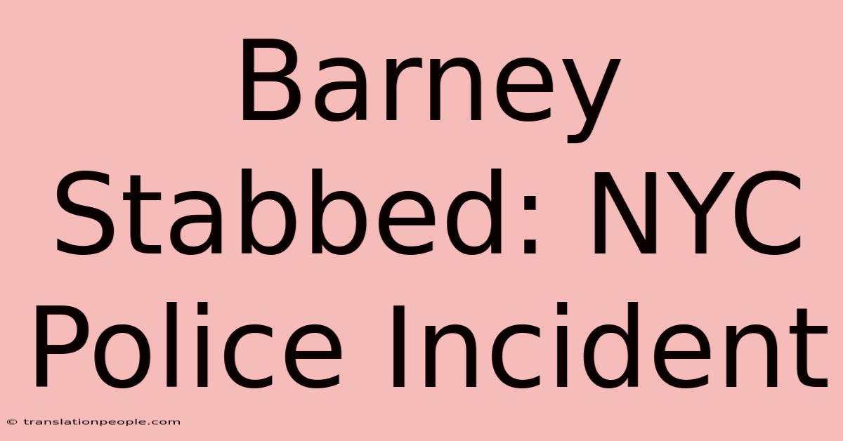 Barney Stabbed: NYC Police Incident