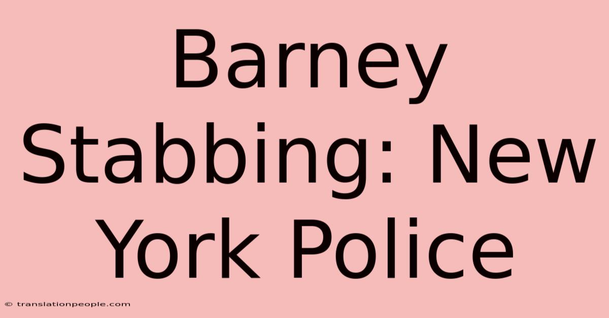 Barney Stabbing: New York Police