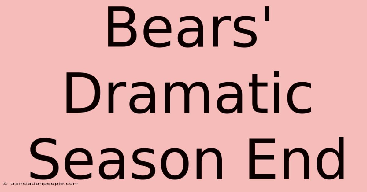 Bears' Dramatic Season End