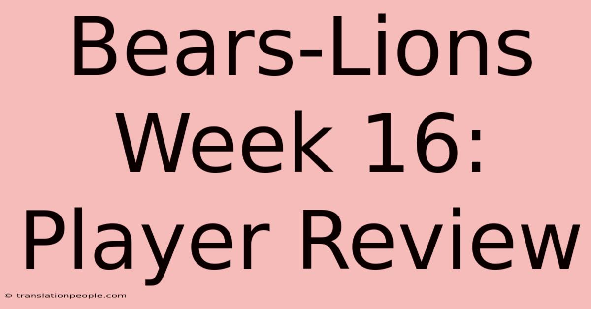 Bears-Lions Week 16: Player Review