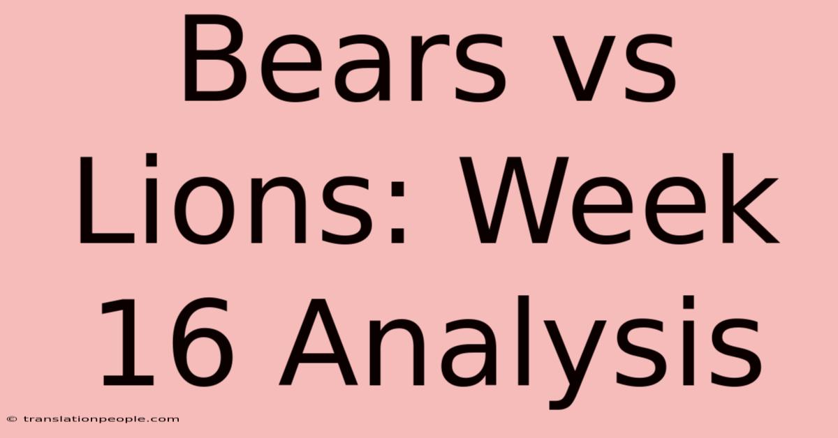 Bears Vs Lions: Week 16 Analysis