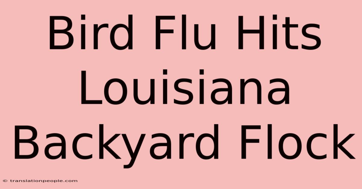 Bird Flu Hits Louisiana Backyard Flock