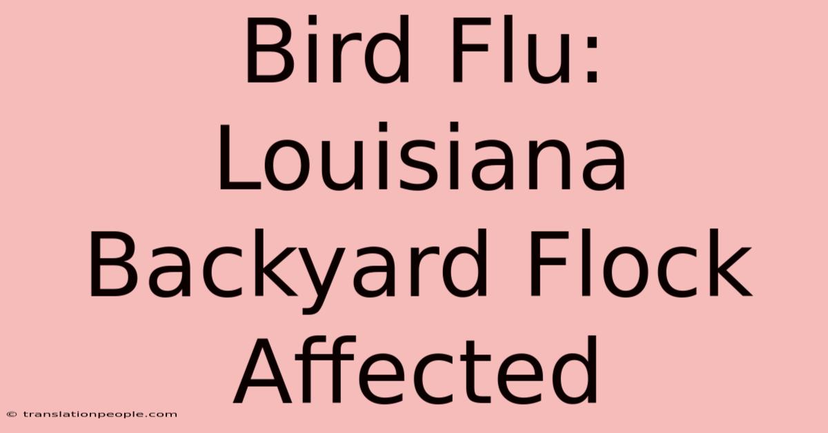 Bird Flu: Louisiana Backyard Flock Affected