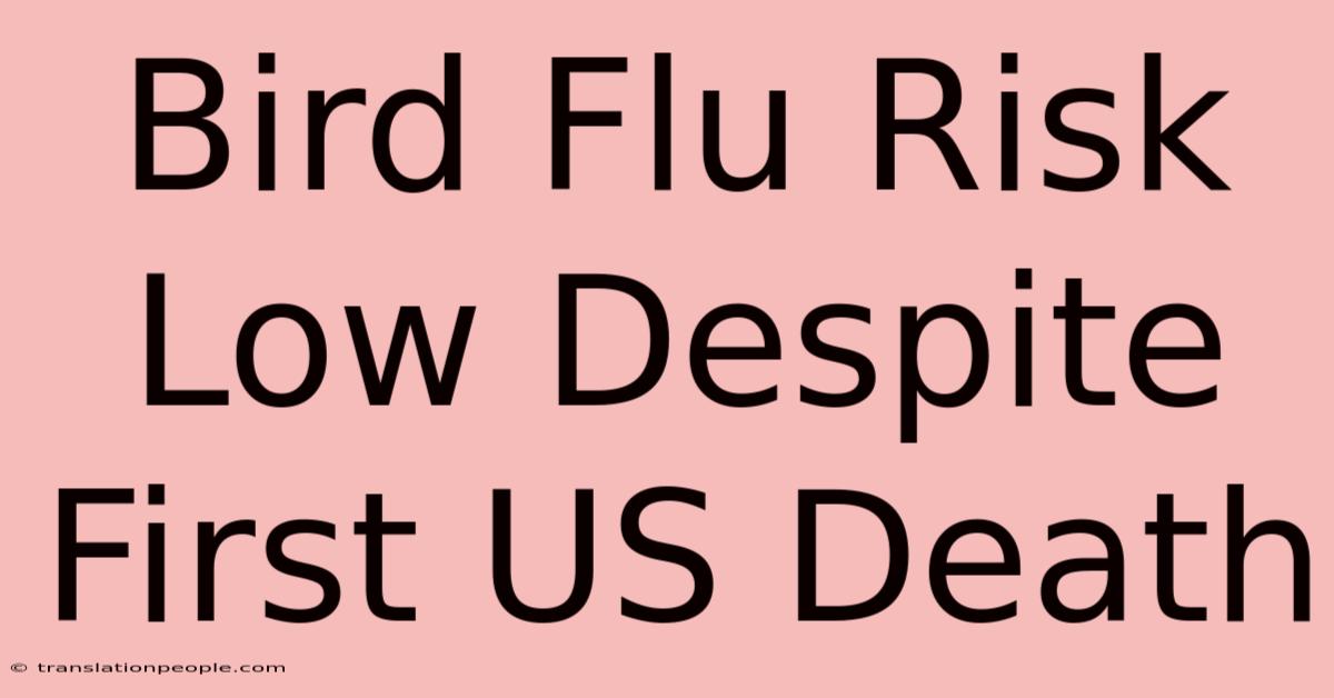 Bird Flu Risk Low Despite First US Death