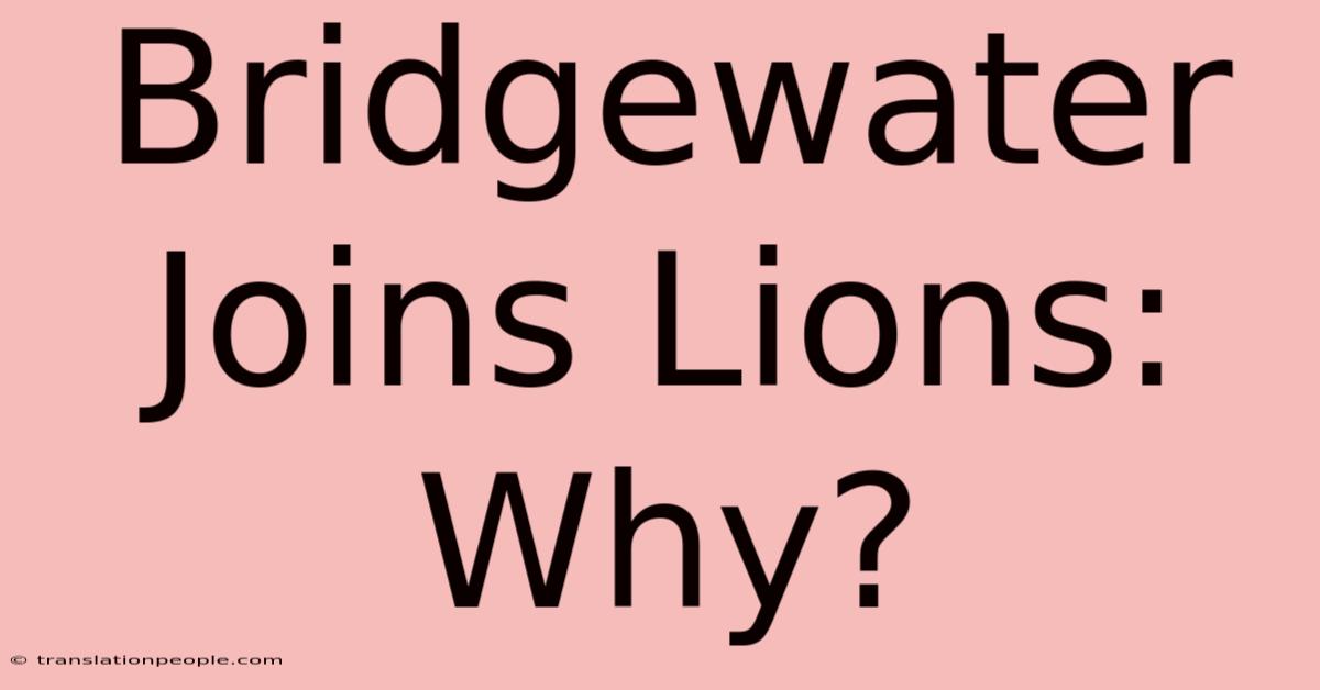 Bridgewater Joins Lions: Why?