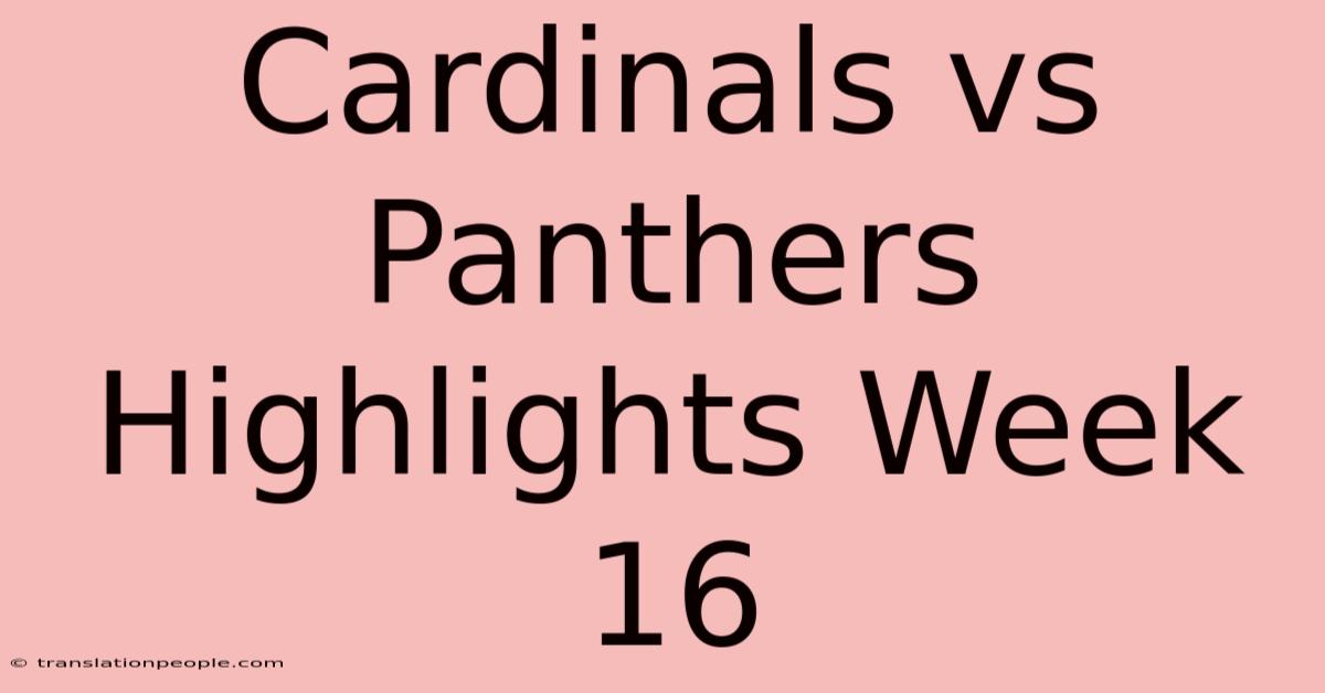 Cardinals Vs Panthers Highlights Week 16