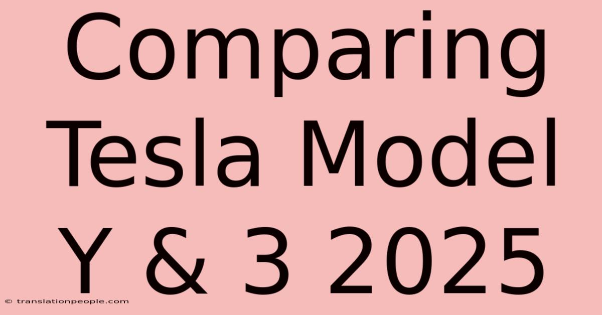 Comparing Tesla Model Y & 3 2025