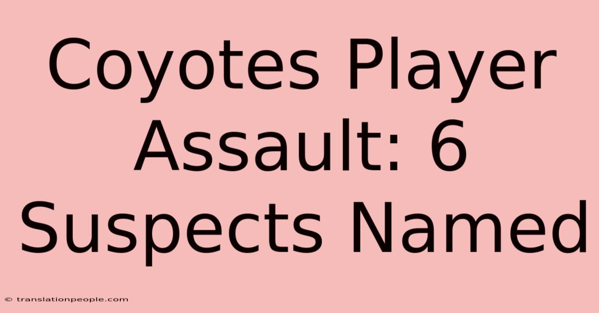 Coyotes Player Assault: 6 Suspects Named