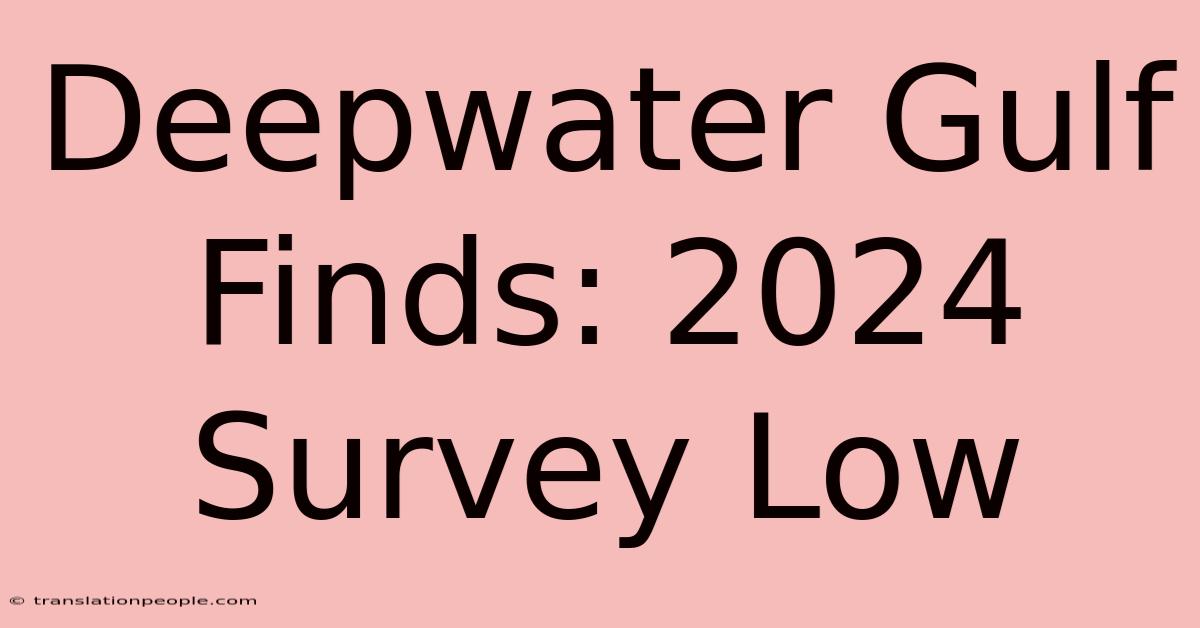 Deepwater Gulf Finds: 2024 Survey Low