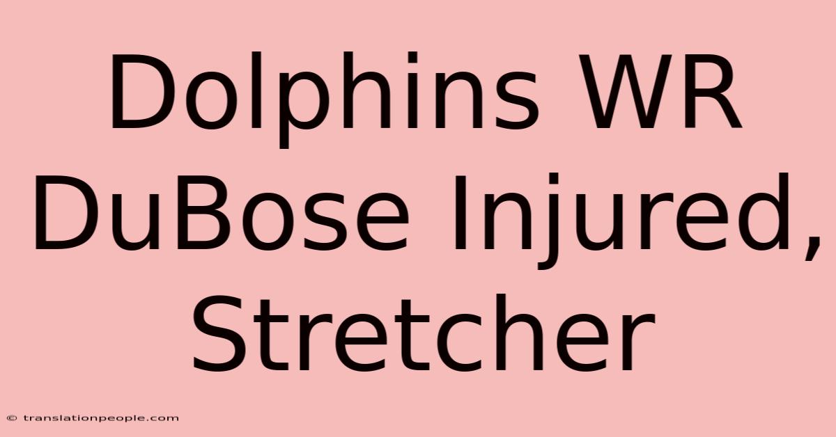 Dolphins WR DuBose Injured, Stretcher