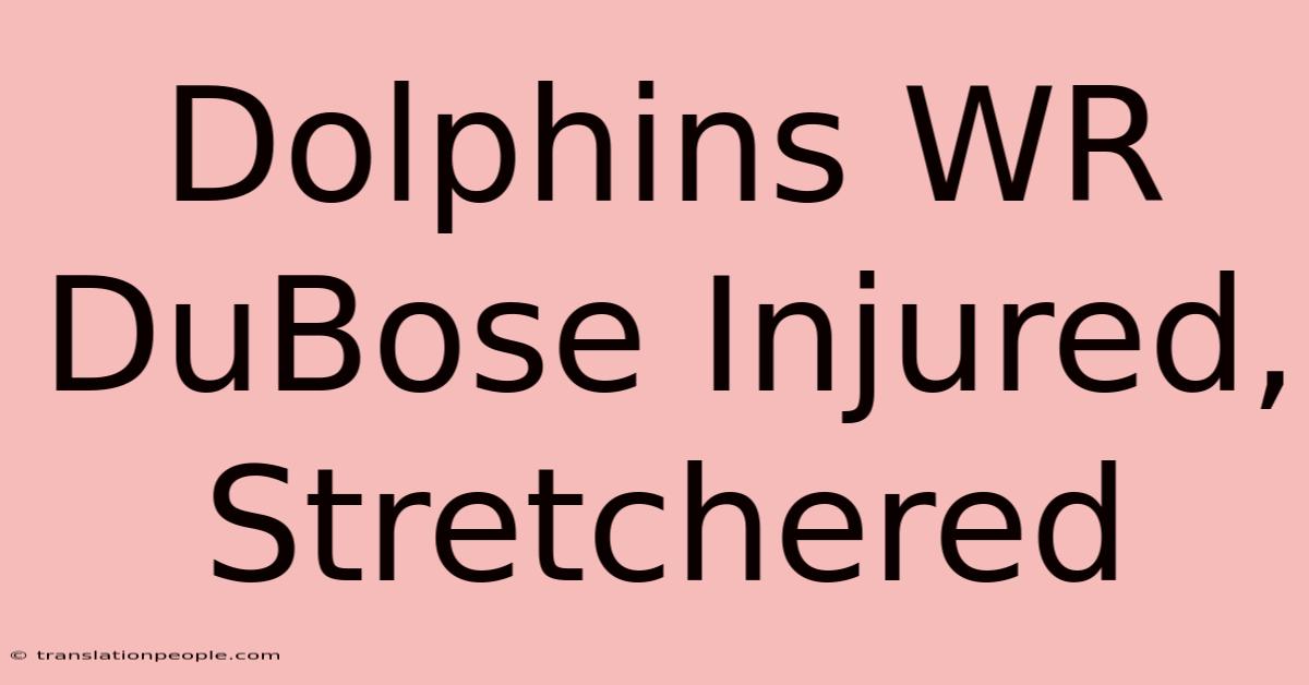 Dolphins WR DuBose Injured, Stretchered