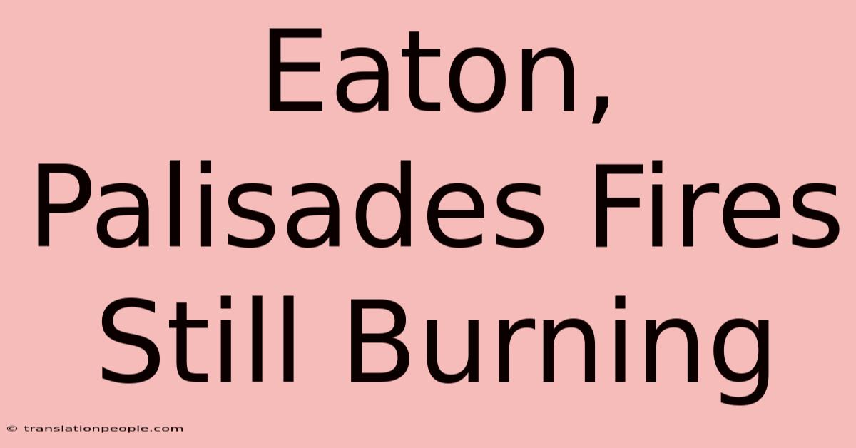 Eaton, Palisades Fires Still Burning