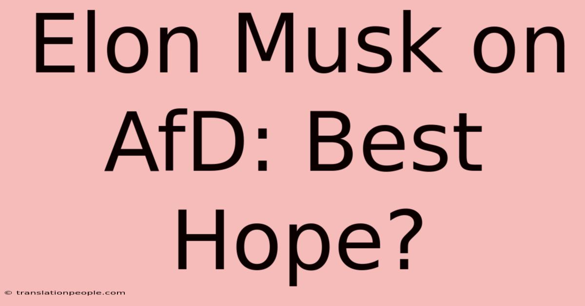 Elon Musk On AfD: Best Hope?