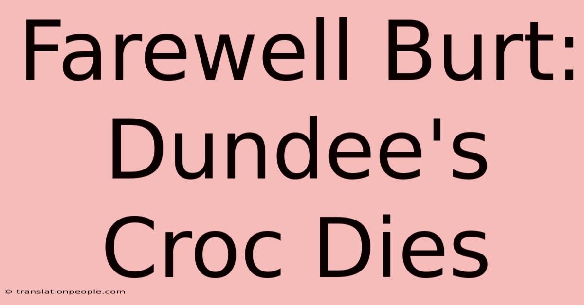 Farewell Burt: Dundee's Croc Dies