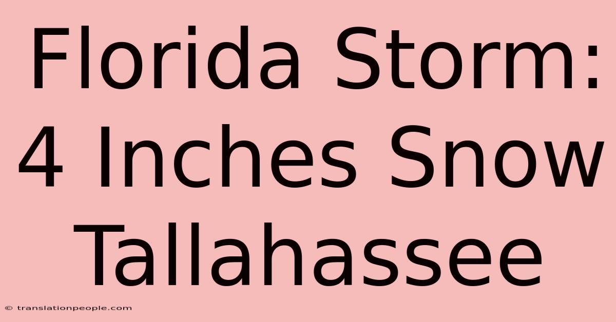 Florida Storm: 4 Inches Snow Tallahassee