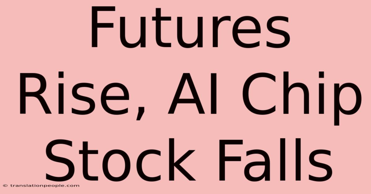 Futures Rise, AI Chip Stock Falls