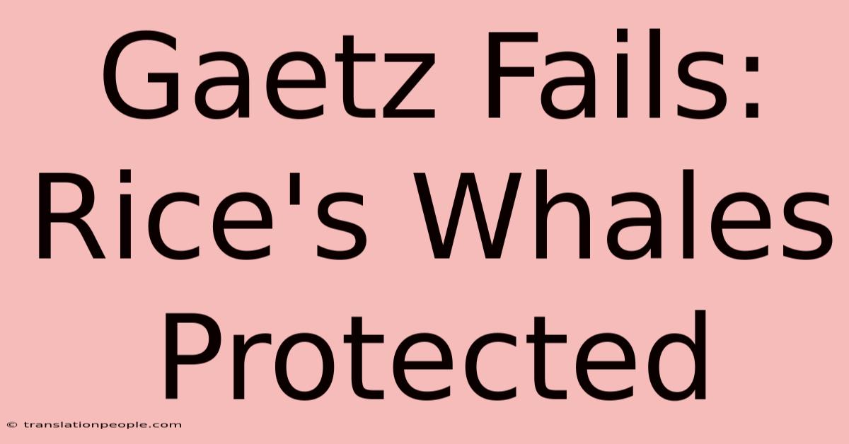 Gaetz Fails: Rice's Whales Protected