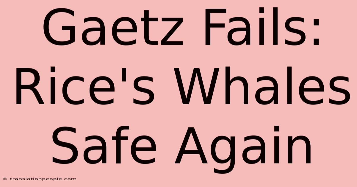 Gaetz Fails: Rice's Whales Safe Again