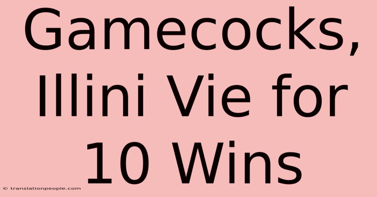 Gamecocks, Illini Vie For 10 Wins