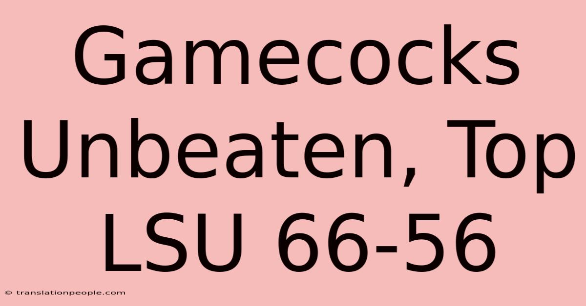 Gamecocks Unbeaten, Top LSU 66-56