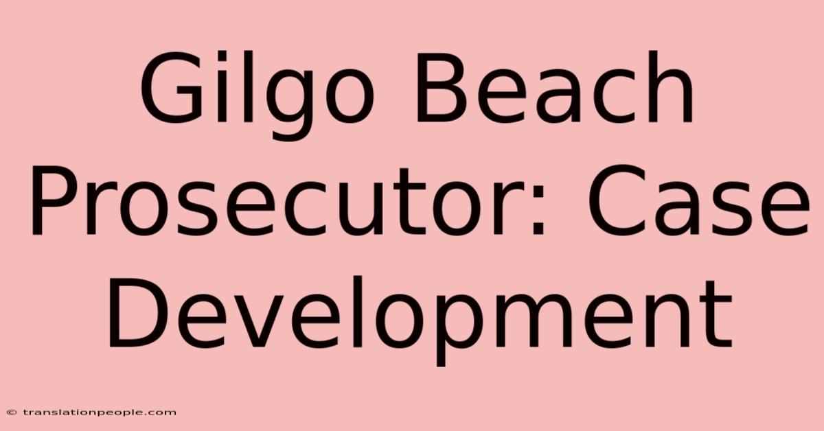 Gilgo Beach Prosecutor: Case Development