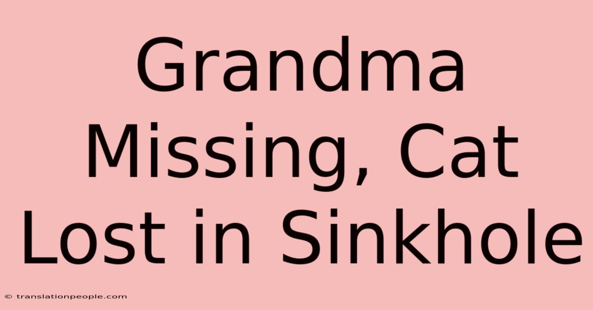 Grandma Missing, Cat Lost In Sinkhole