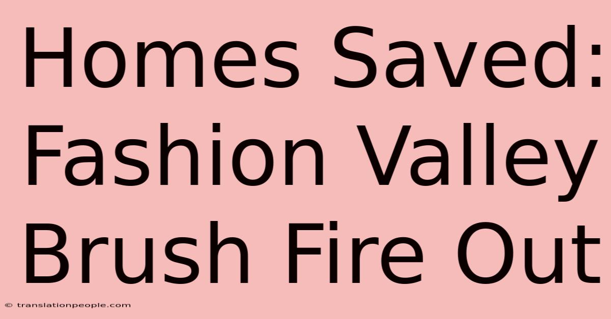 Homes Saved: Fashion Valley Brush Fire Out