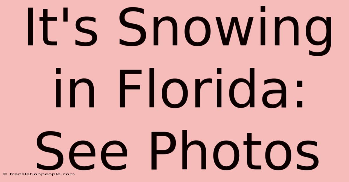 It's Snowing In Florida: See Photos