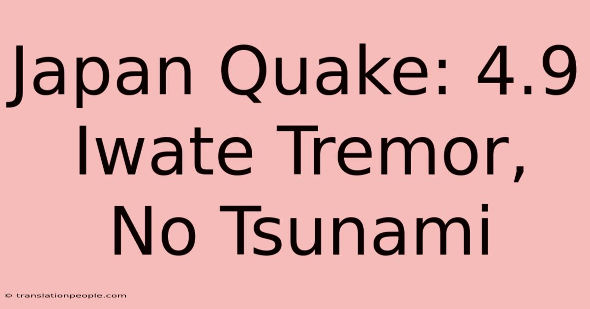 Japan Quake: 4.9 Iwate Tremor, No Tsunami