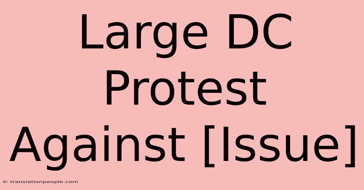 Large DC Protest Against [Issue]