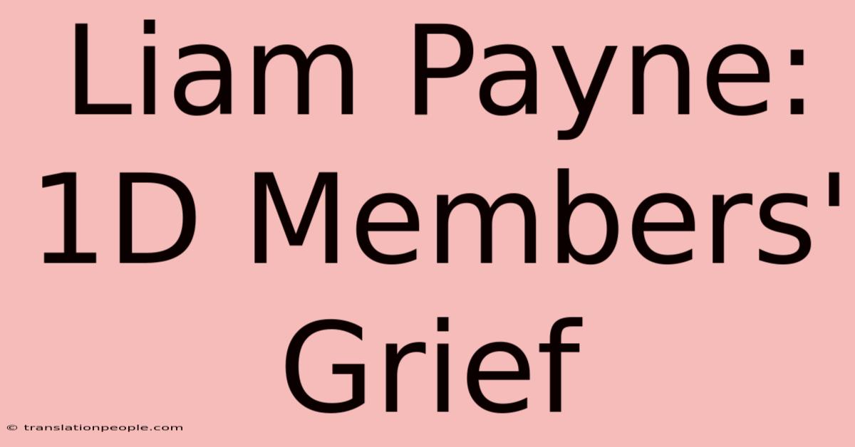 Liam Payne: 1D Members' Grief