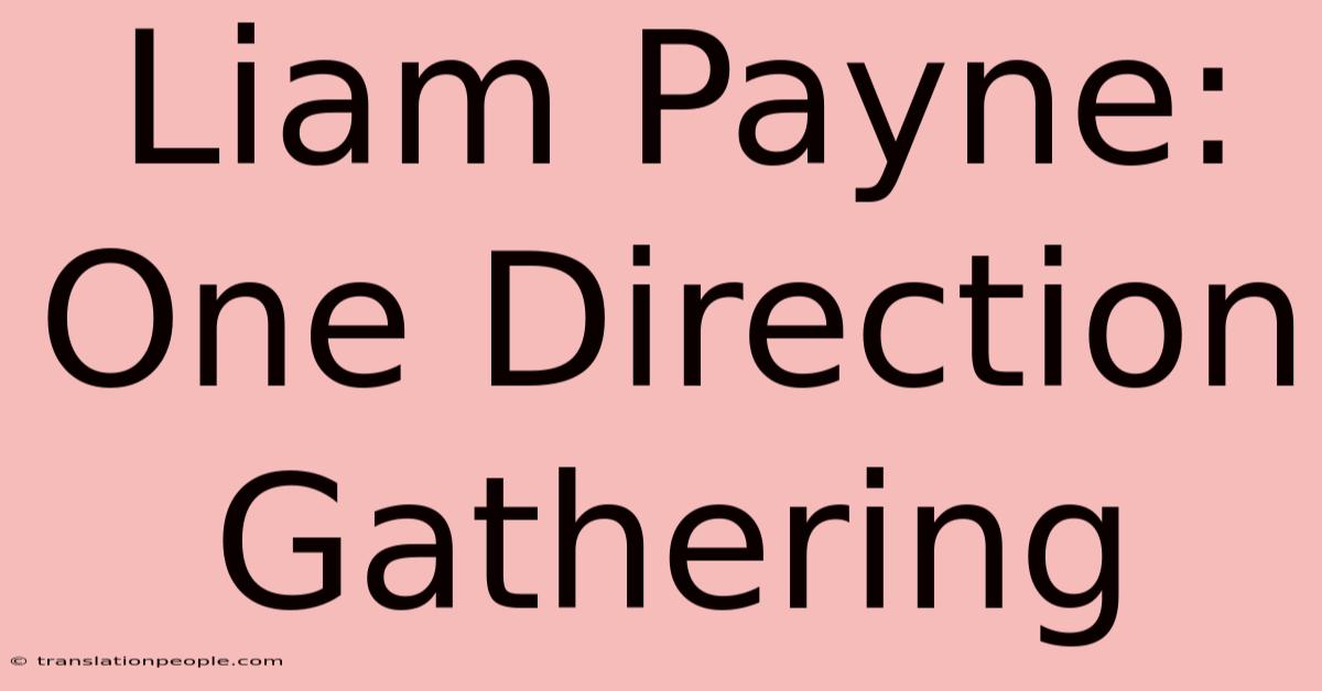 Liam Payne: One Direction Gathering