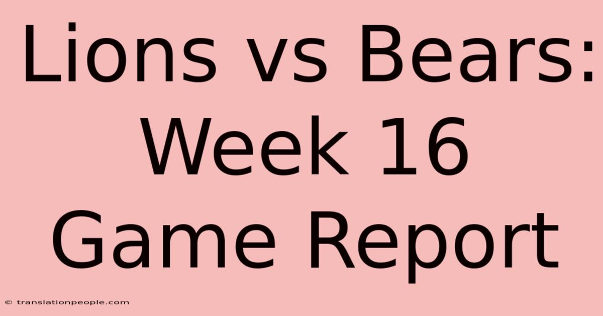 Lions Vs Bears: Week 16 Game Report