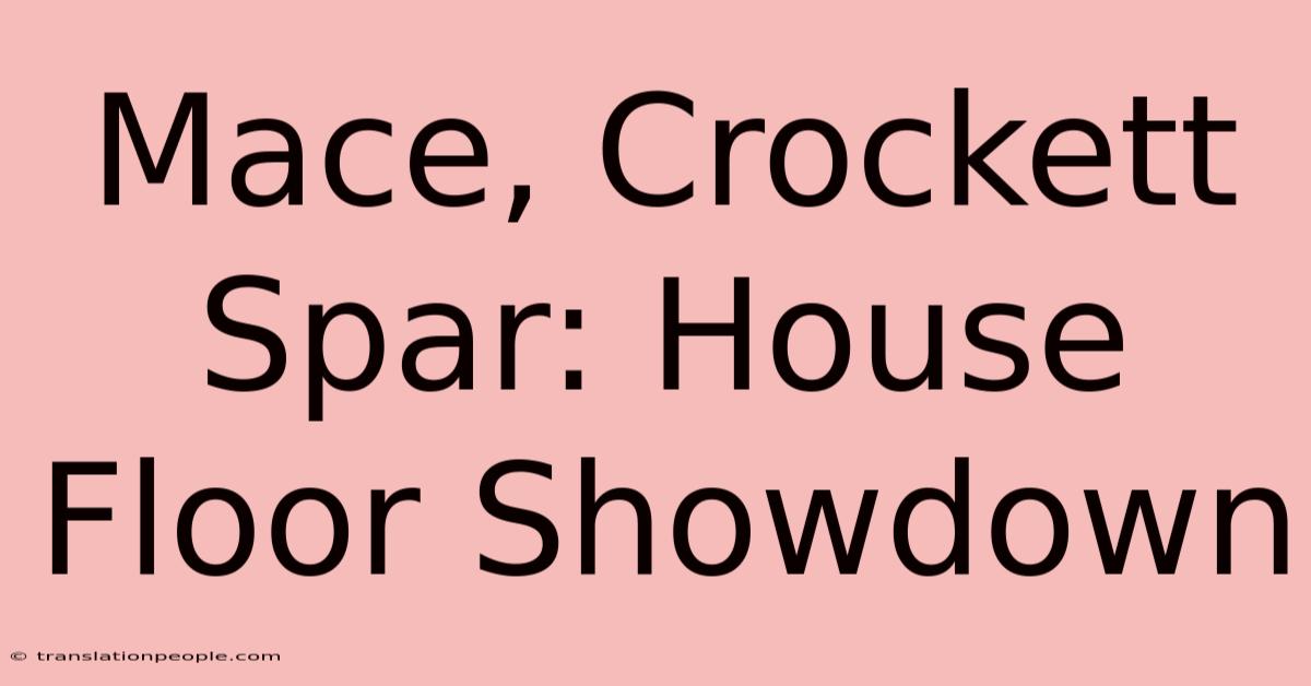 Mace, Crockett Spar: House Floor Showdown