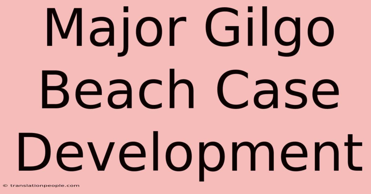 Major Gilgo Beach Case Development