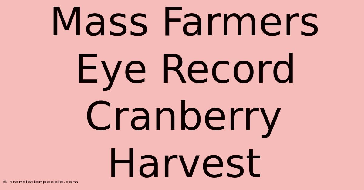 Mass Farmers Eye Record Cranberry Harvest