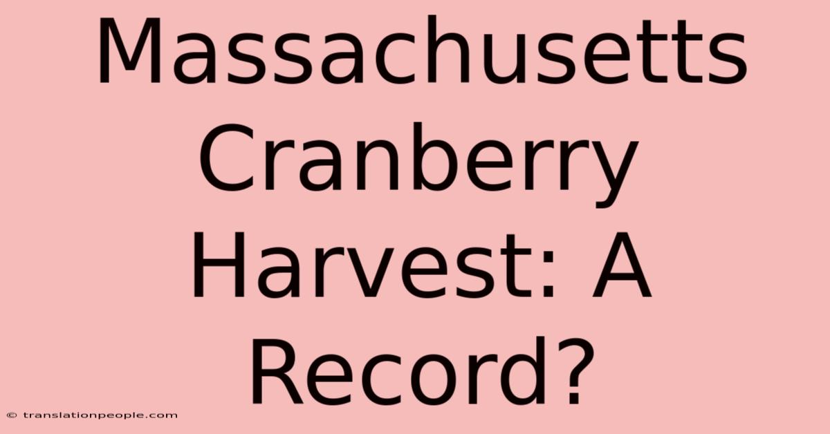 Massachusetts Cranberry Harvest: A Record?