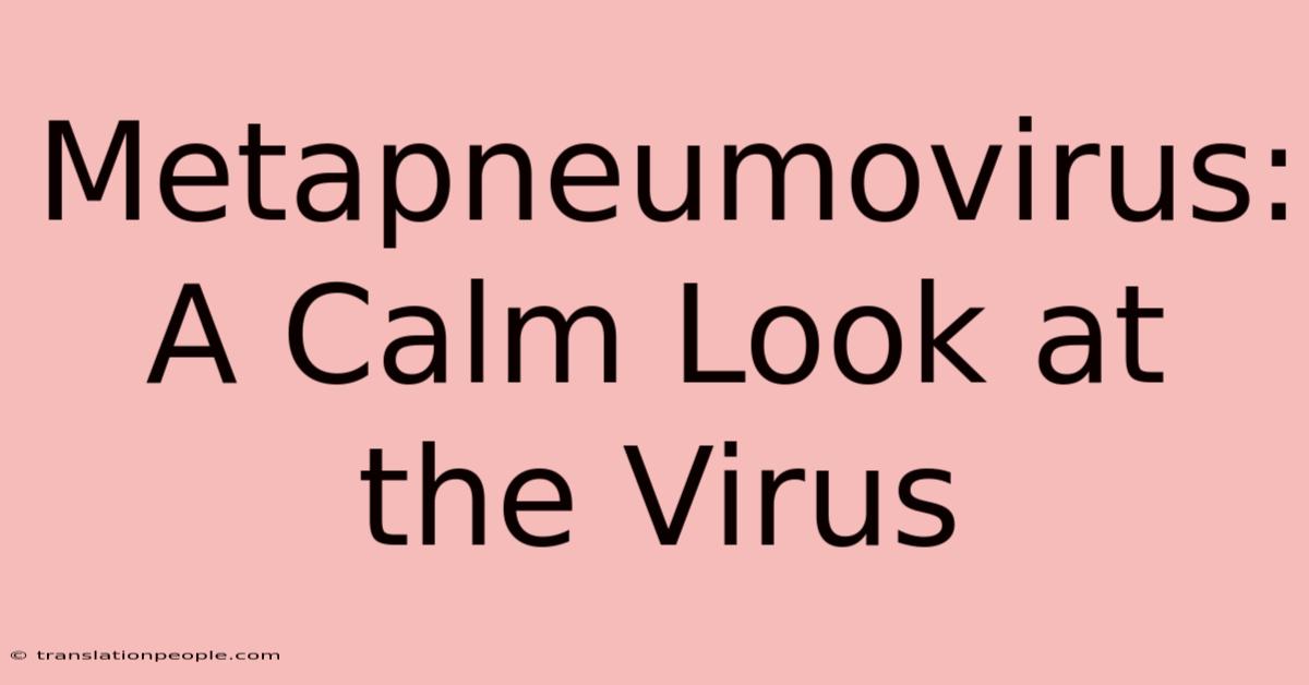 Metapneumovirus: A Calm Look At The Virus