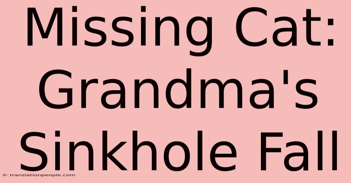 Missing Cat: Grandma's Sinkhole Fall