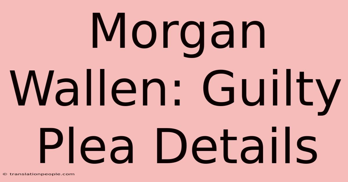 Morgan Wallen: Guilty Plea Details