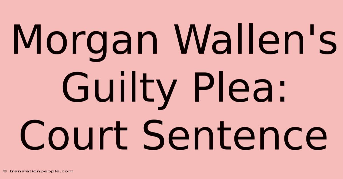 Morgan Wallen's Guilty Plea: Court Sentence