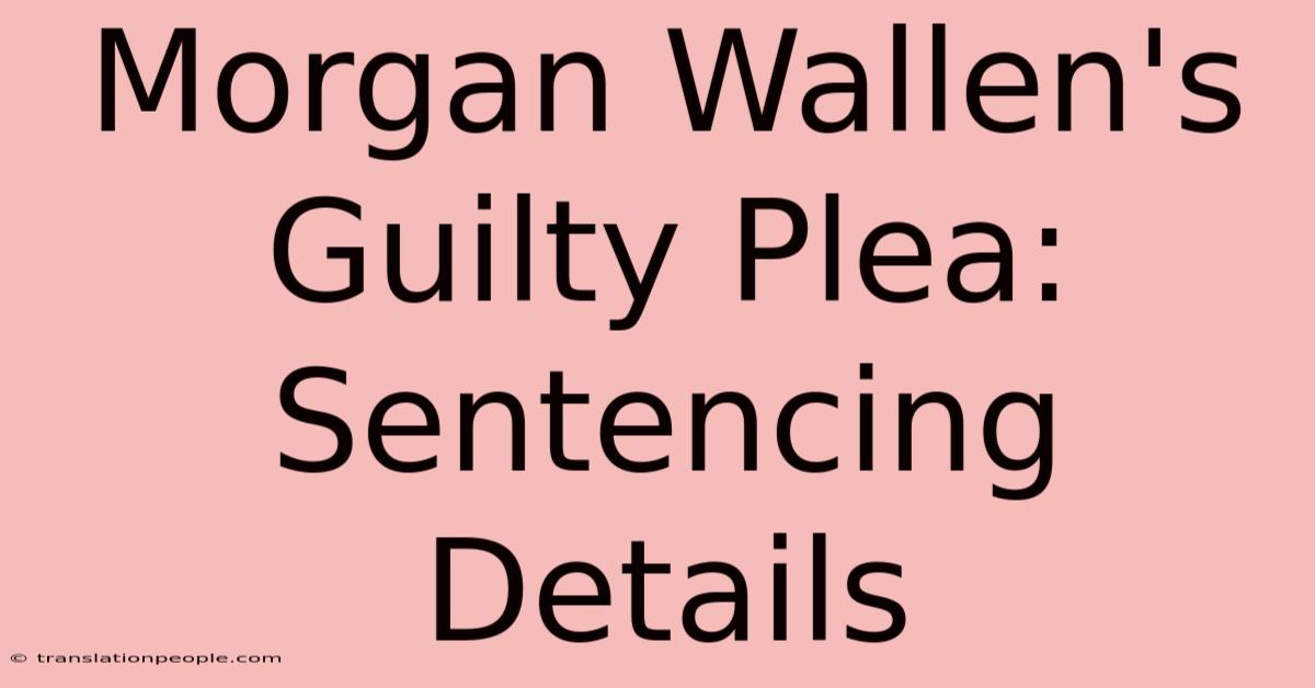 Morgan Wallen's Guilty Plea: Sentencing Details