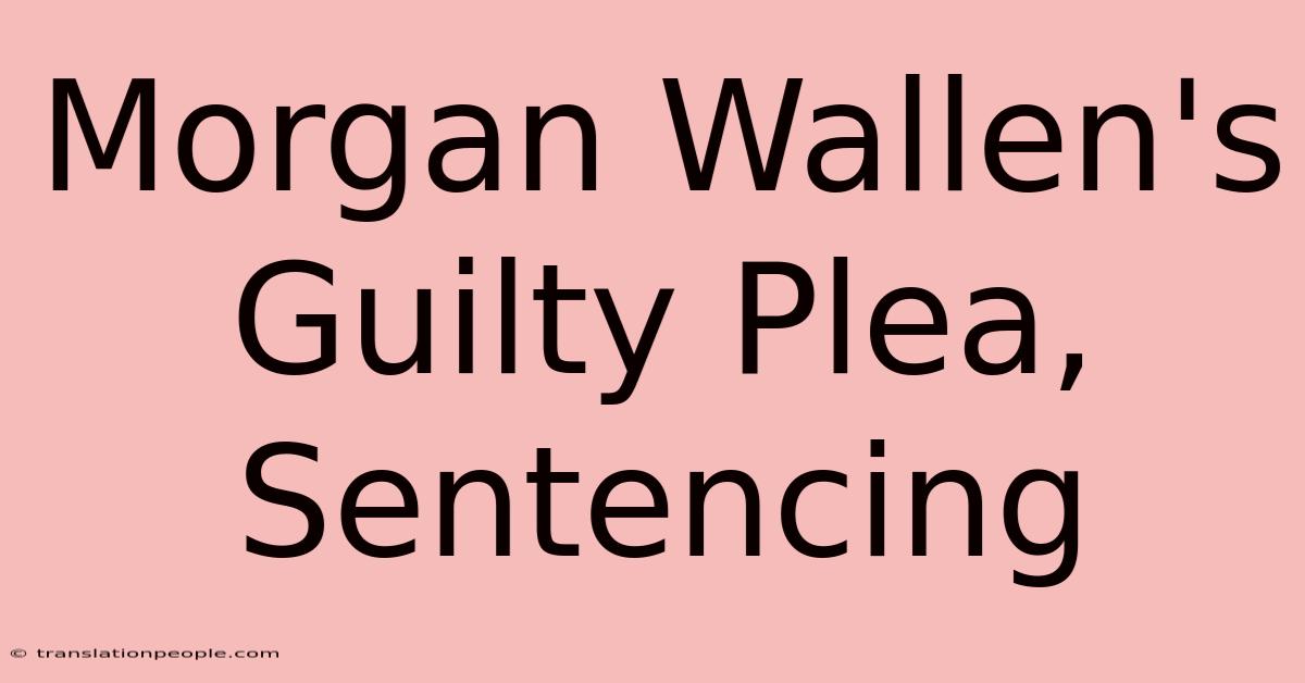 Morgan Wallen's Guilty Plea, Sentencing