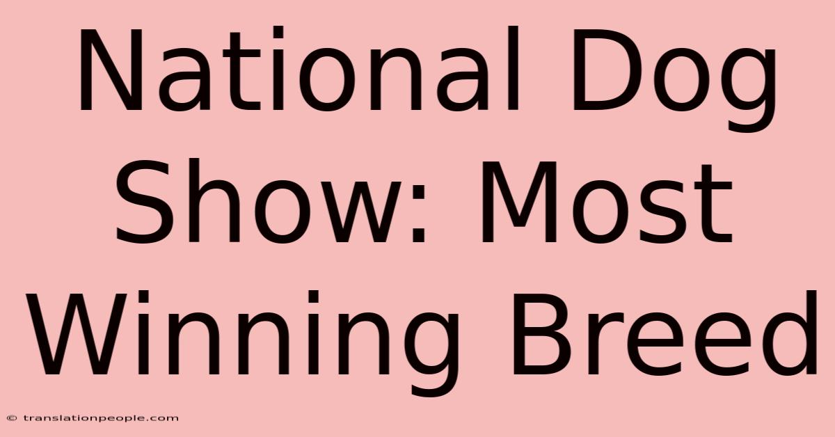 National Dog Show: Most Winning Breed