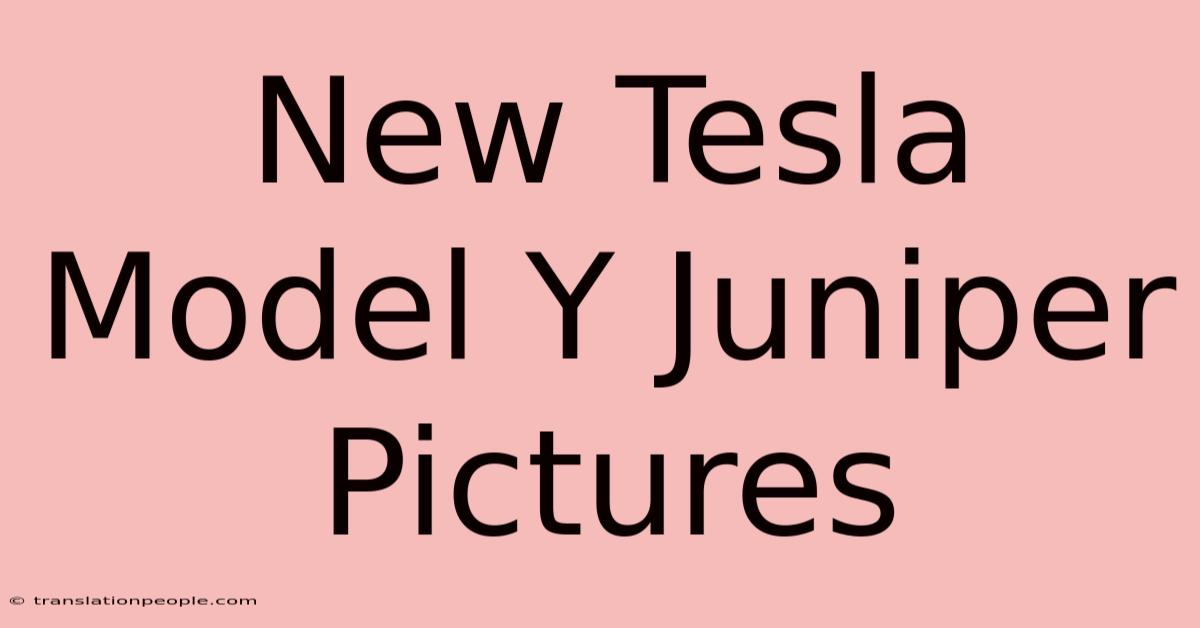 New Tesla Model Y Juniper Pictures