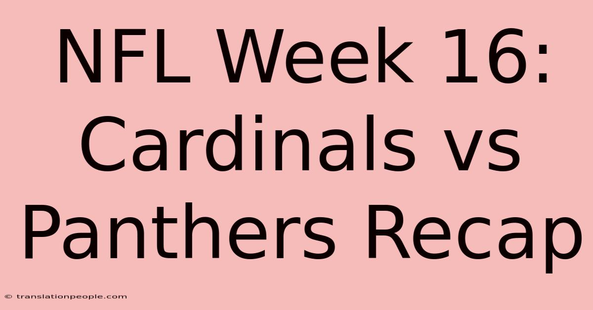 NFL Week 16: Cardinals Vs Panthers Recap